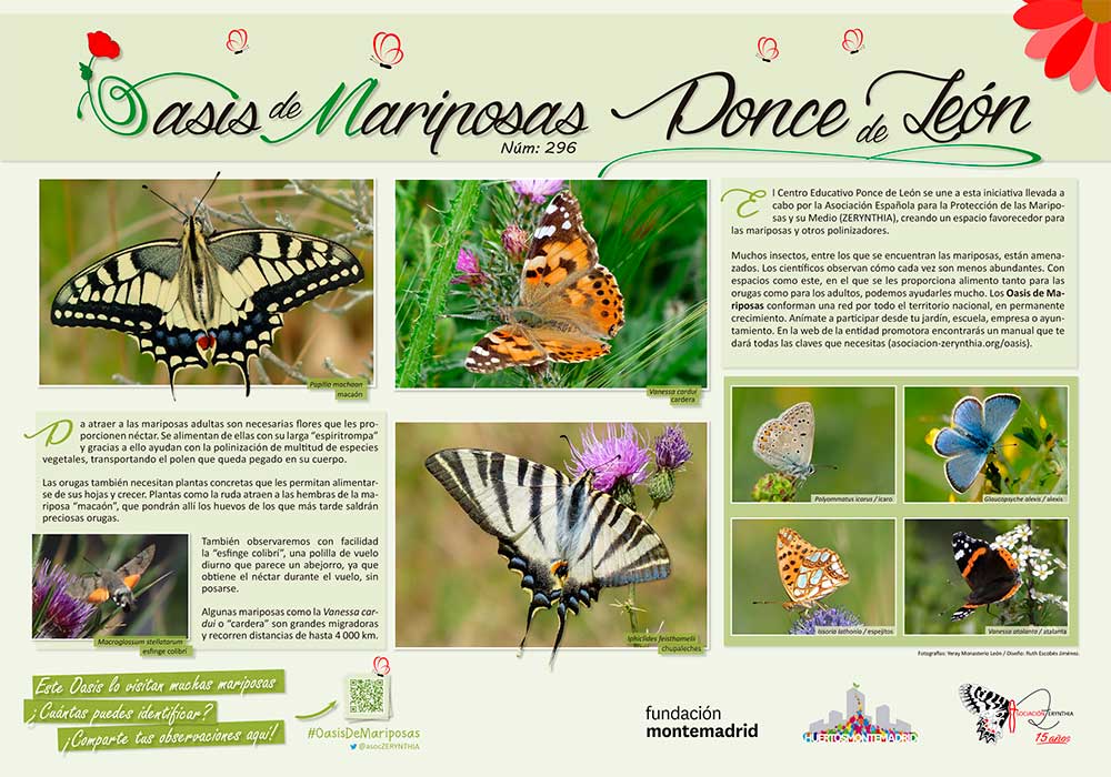 Oasis de mariposas