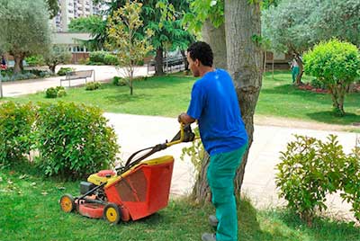 Jardinería