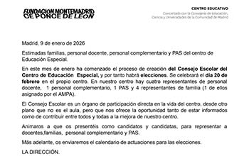 Consejo escolar (Educación Especial)