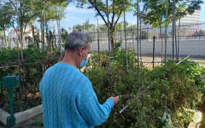 Visita al huerto comunitario «Los Halcones»