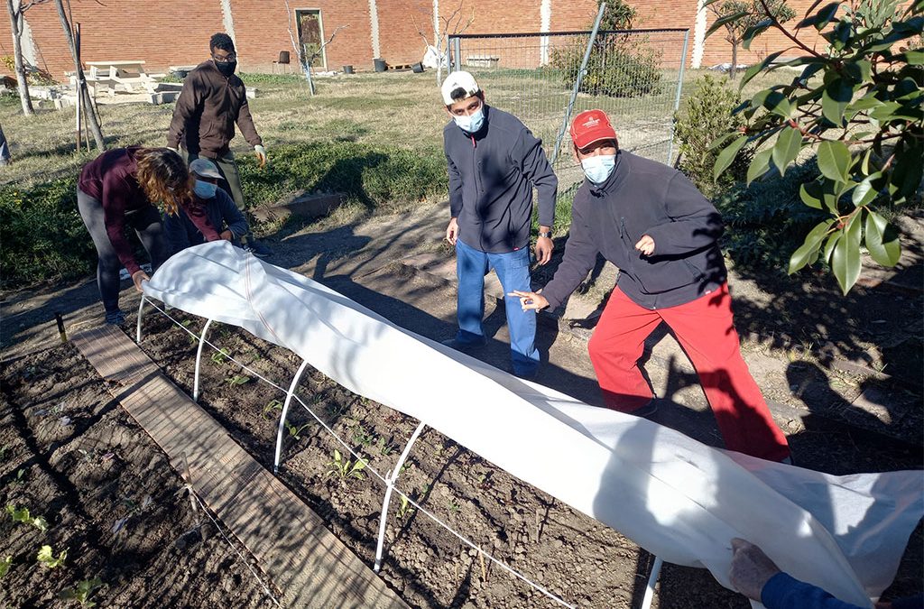 Cultivando nuestro huerto de invierno
