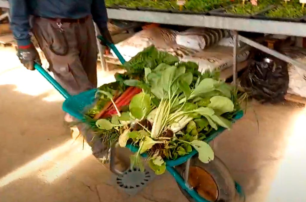 Cocina de nuestra huerta