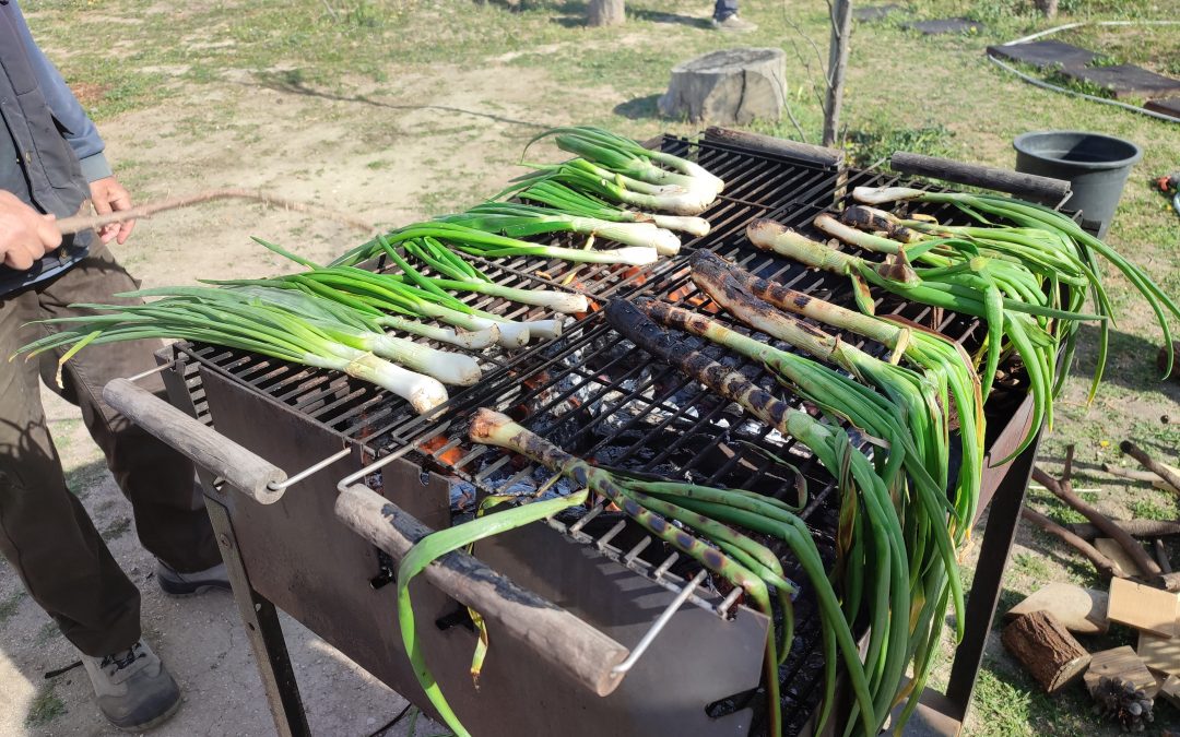 Calçots a la Brasa
