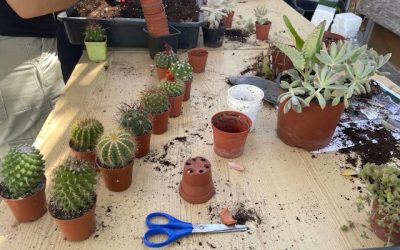 Trabajando al aire libre