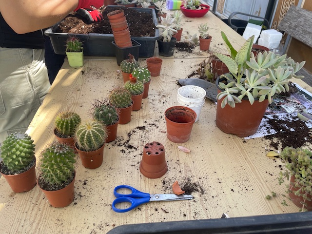 Trabajando al aire libre