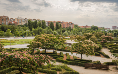 Paseo por el parque