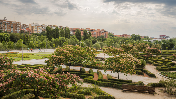 Paseo por el parque
