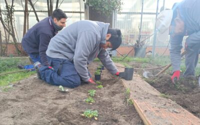 Plantando en nuestro huerto