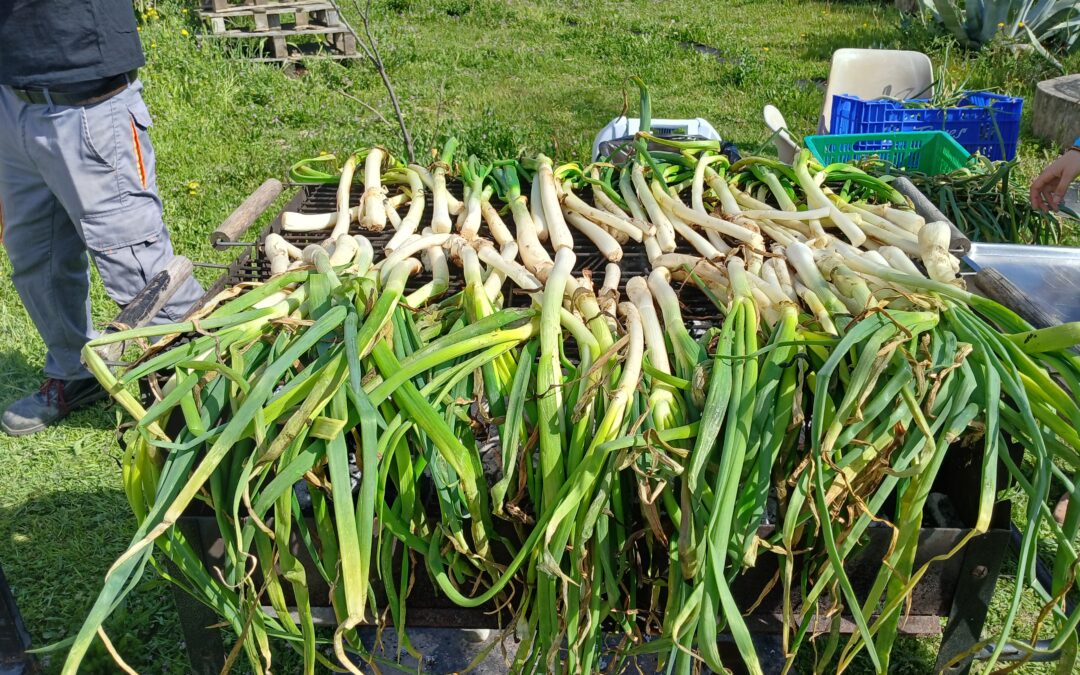 Calçotada
