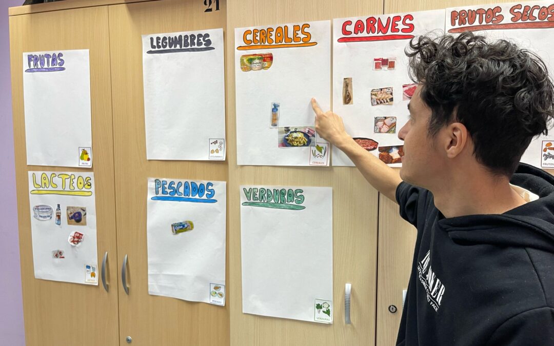 ¡Clasificamos los alimentos!