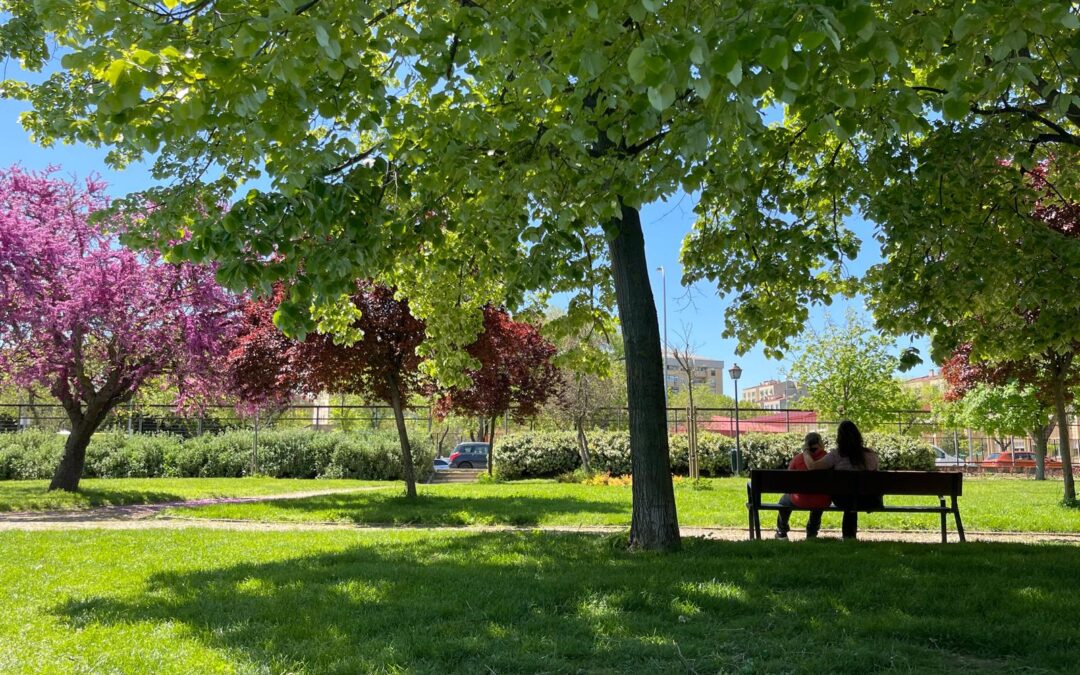 Paseo por el parque