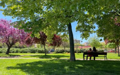Paseo por el parque