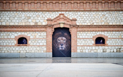 Visita exposición «The Animals»