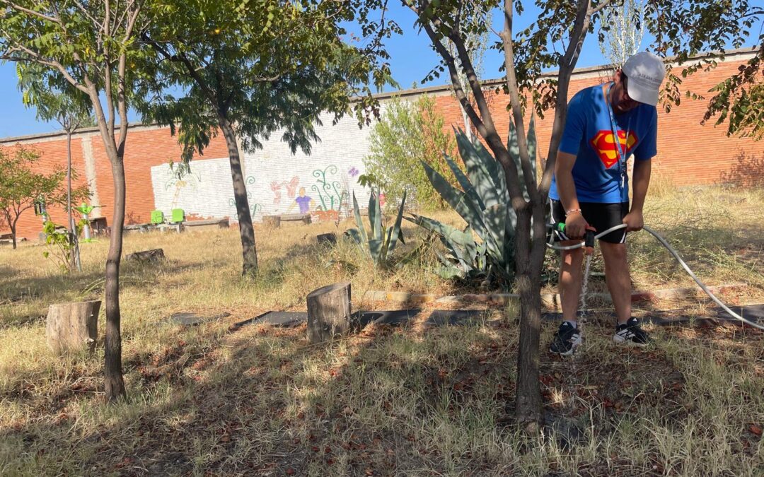 Cuidamos nuestros jardines